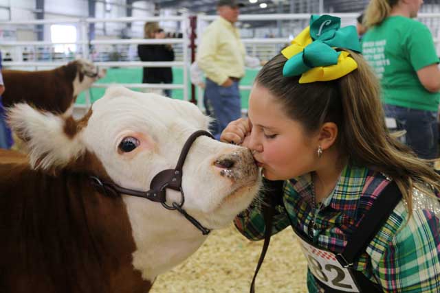 San Antonio Stock Show & Rodeo - FEBRUARY